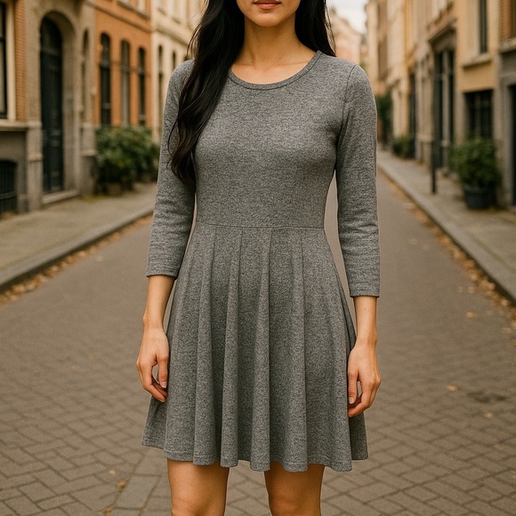 Anthropology Dolan Fit and Flare Dress Gray Long Sleeve Womens Size Small - Picture 1 of 15